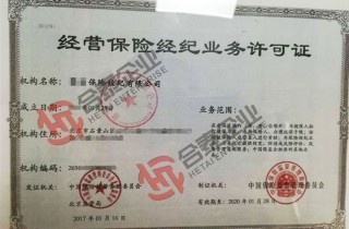 保險經紀業務牌照