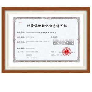 保險(xiǎn)經(jīng)紀(jì)業(yè)務(wù)牌照轉(zhuǎn)讓