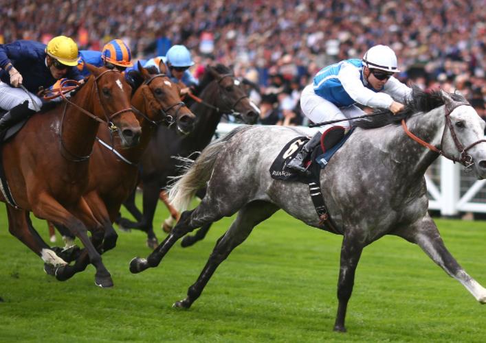 海南賽馬要來了,相關產業鏈公司注冊發展可期 海南賽馬要來了,相關產業鏈公司注冊發展可期